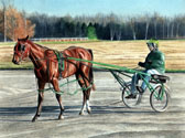 Standardbred, Equine Art - Joe and the Colt